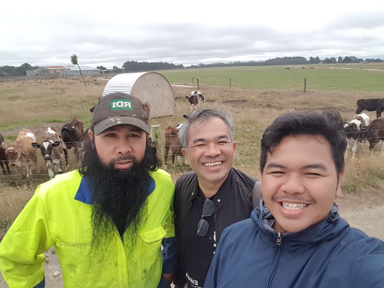 Penuturan Aqua Dwipayana terhadap Pengusaha Sapi Perah Indonesia di New Zealand