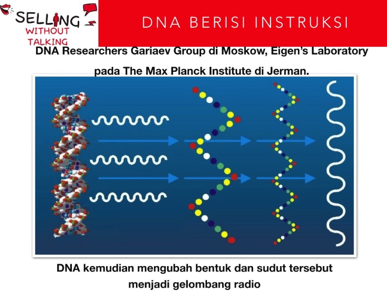 DNA Mengubah Bentuk dan Sudut Tersebut Menjadi Gelombang Radio